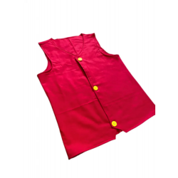 Monkey D Luffy Anime Red Vest