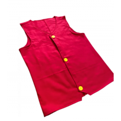 Monkey D Luffy Anime Red Vest