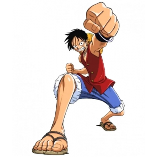 MONKEY D LUFFY ANIME RED VEST